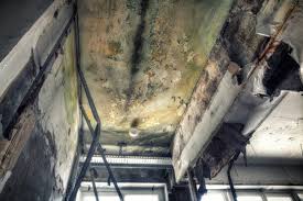 Best Asbestos and Lead Testing During Mold Inspection  in Santa Clarita, CA